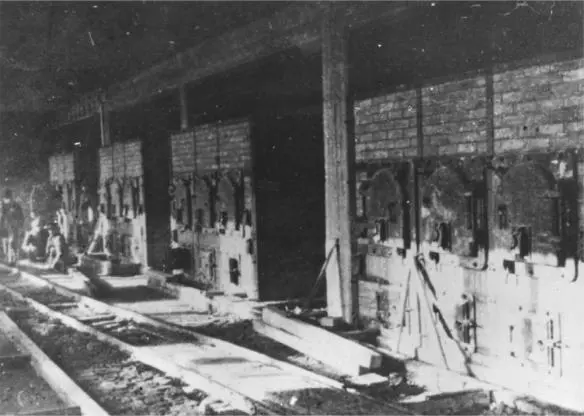 The Topf and Sons ovens in Crematorium II at AuschwitzBirkenau COURTESY OF - фото 16