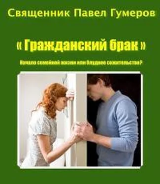 Священник Павел Гумеров Гражданский брак: Начало семейной жизни или блудное сожительство? обложка книги