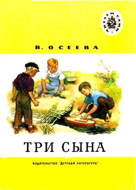 Валентина Осеева Три сына обложка книги