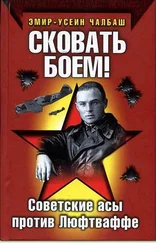 Эмир Чалбаш - Сковать боем!