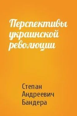 Степан Бандера Перспективы украинской революции обложка книги