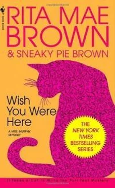 Рита Браун Wish You Were Here обложка книги