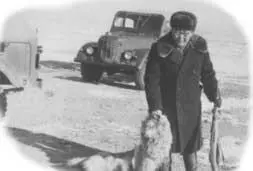 Кстати сказать в 1962 году был неурожай кедровых орехов и к осени медведи - фото 13