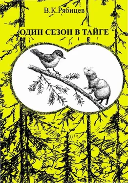 Вадим Рябицев Один сезон в тайге обложка книги