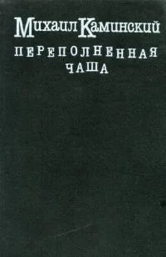 Михаил Каминский Переполненная чаша обложка книги