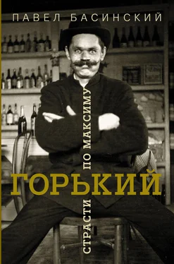 Павел Басинский Горький: страсти по Максиму обложка книги