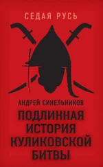 Андрей Синельников - Подлинная история Куликовской битвы