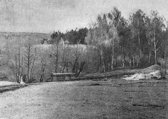 Леса на севере области Уголок Бузулукского бора Лесные массивы в северной - фото 12