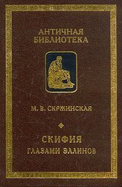 Марина Скржинская Скифия глазами эллинов