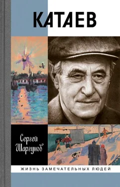 Сергей Шаргунов Катаев: «Погоня за вечной весной» обложка книги