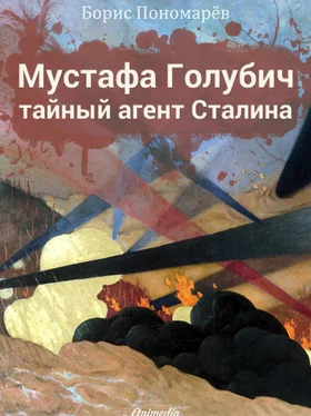 Борис Пономарев Мустафа Голубич – тайный агент Сталина обложка книги