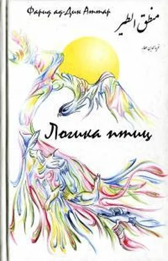 Фарид Аттар Логика птиц обложка книги