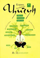 Ян Цзюньмин - Корни китайского цигун. Секреты успешной практики