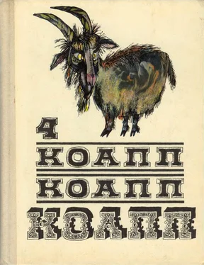 Майлен Константиновский КОАПП! КОАПП! КОАПП! Выпуск 4 обложка книги