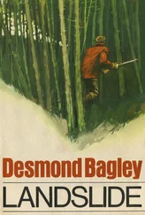 Десмонд Бэгли - Landslide