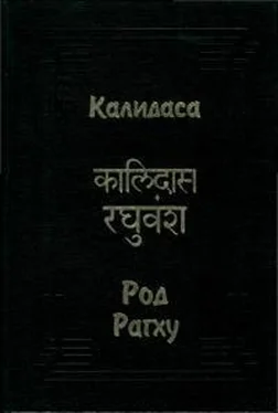 Калидаса Род Рагху обложка книги