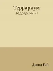 Давид Гай - Террариум