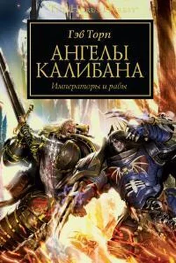 Гэв Торп Ангелы Калибана обложка книги