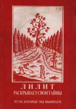 Елена Сущинская Лилит раскрывает свои тайны: Пути, которые мы выбираем обложка книги