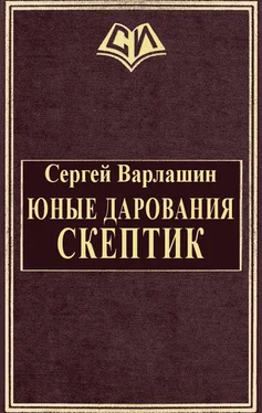 Сергей Варлашин Юные дарования. Скептик обложка книги