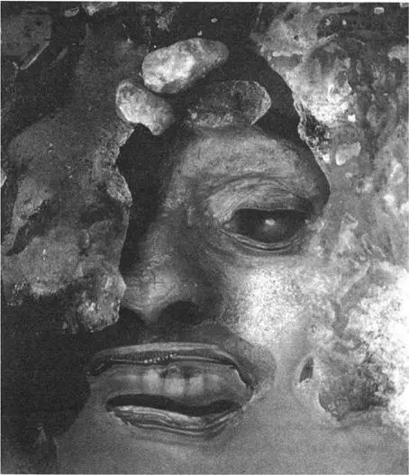 The first view of John Hartnell Later back in the labs and libraries of - фото 25