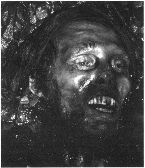 OPPOSITE The kerchief is drawn back to reveal Braines face The edges of the - фото 34