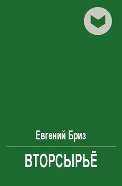 Евгений Бриз Вторсырьё обложка книги