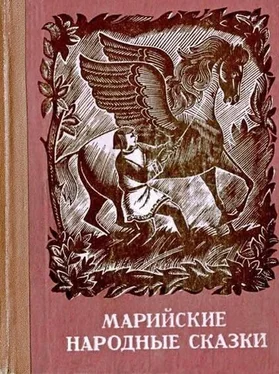 Фольклор Марийские народные сказки обложка книги