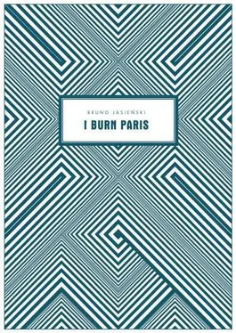 Бруно Ясенский I Burn Paris обложка книги