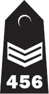 Police Sergeant Inspector Chief Inspector - фото 4