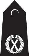 Assistant Chief Constable Deputy Chief Constable Chief Constable - фото 9