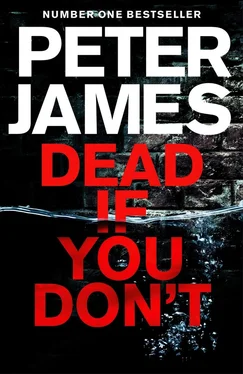 Питер Джеймс Dead if You Don’t обложка книги