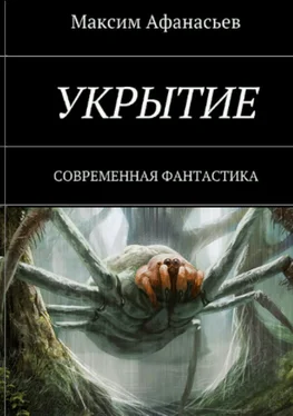 Максим Афанасьев Укрытие [СИ] обложка книги