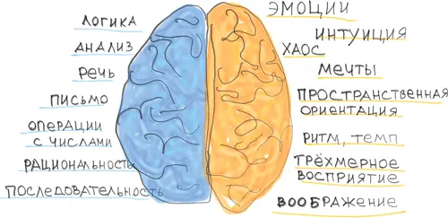 Но если есть рациональные доводы значит должны быть и эмоциональные Вопрос - фото 13