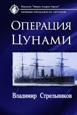 Владимир Стрельников Операция «Цунами» [СИ] обложка книги