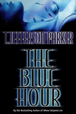 Т Паркер The Blue Hour обложка книги