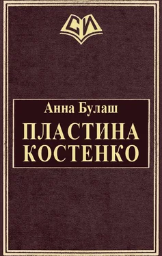 Анна Булаш Пластина Костенко обложка книги