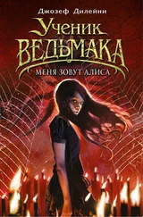 Джозеф Дилейни - Меня зовут Алиса [litres]