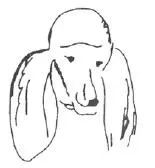 Джина Капа Обиделась Лаки - фото 12