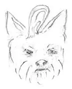 Капа Обиделась Лаки Бросили - фото 13