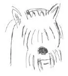 Лаки Бросили Канатоходец Усталость - фото 15