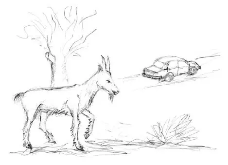 Бросили Канатоходец Усталость Джек и Джина - фото 16