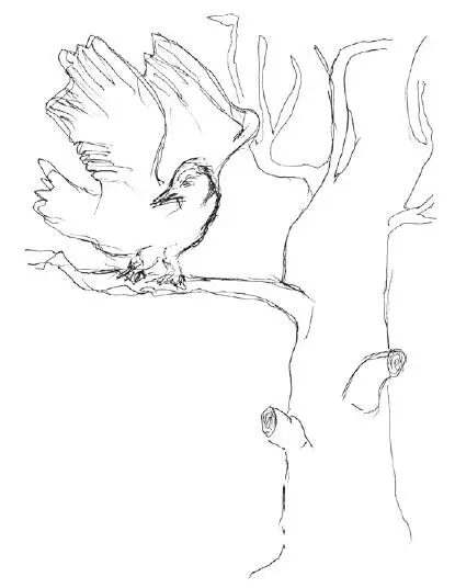 Джек и Джина Белая Ворона Песни как дети Карловы Вары - фото 19