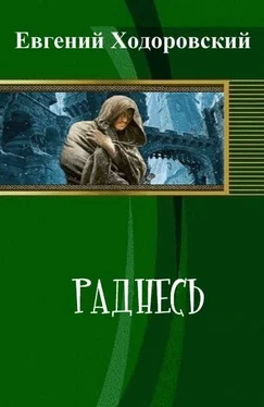 Евгений Ходоровский Раднесь (СИ) обложка книги