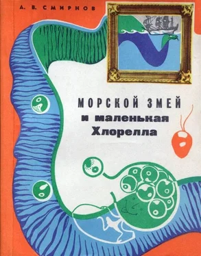 Алексей Смирнов Морской змей и маленькая хлорелла обложка книги