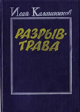 Исай Калашников Разрыв-трава обложка книги