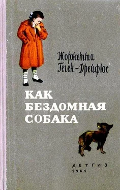 Жоржетта Геген-Дрейфюс Как бездомная собака обложка книги
