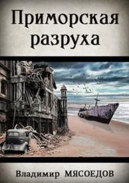 Владимир Мясоедов Приморская разруха обложка книги