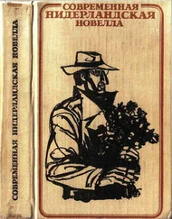 Симон Кармиггелт - Рассказы