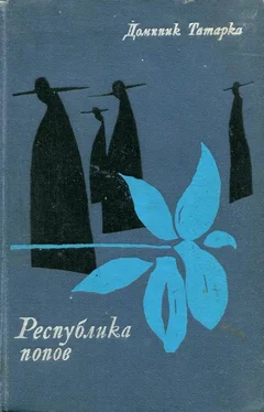 Доминик Татарка Республика попов обложка книги